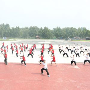 Ÿ̫ȭ2019̫ԮȽ ѧȭæ