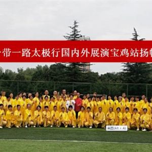 ﷫ 2019һһ·̫йչݻվɹ