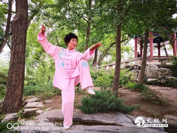 ƽ̫֮·ʮһҵĲ˿ƪ