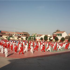 2019�����ʡ������ɫѧУ���տ������չ���Բ������