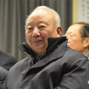 ��ʹ��������ʽ̫��ȭ���Ĵ����˷ѹ�������