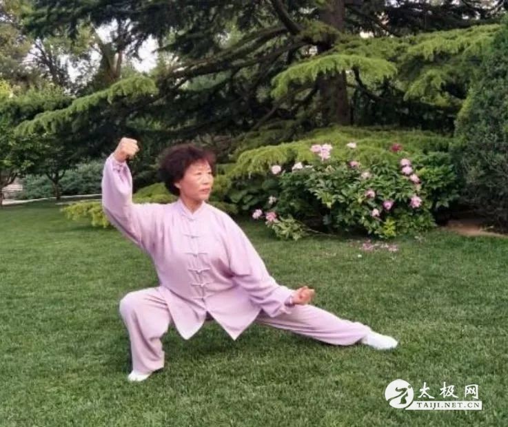 ƽ̫֮·ʮ һҵĲ˿ƪ