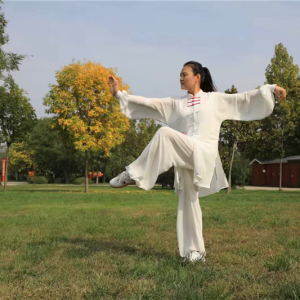 ��̫����ר�á�2019����̫���������