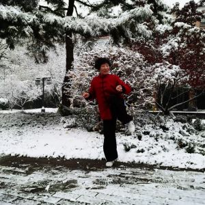 ƽ̫ȭ֮·ʮˡһҵĲ˿ƪ