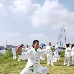 ��̫����ר�á�2019������̫���˲�����