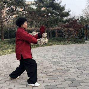 ƽ̫ȭ֮·ʮƪһҵĲ˿ƪģ