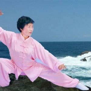 ƽ̫ȭ֮·ʮƪһҵĲ˿ƪ