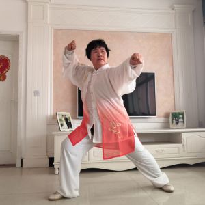 ֦ͳʽ̫ȭ̫սߡӼҽ̫繫