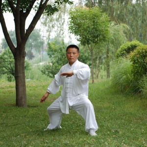 ŹԴͳʽ̫ȭʮʽ̫սߡӼҽ̫繫