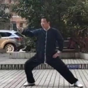 ˴ʽ̫ȭϼһ·̫սߡӼҽ̫繫