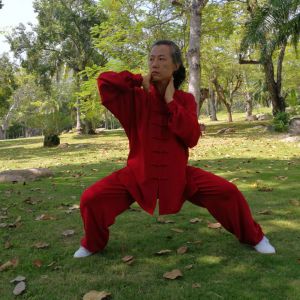 ѩʽ̫ȭ̫սߡӼҽ̫繫