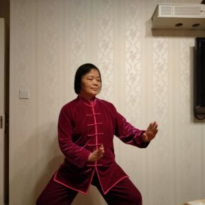 Ƽͳʽ̫ȭ83ʽ̫սߡӼҽ̫繫