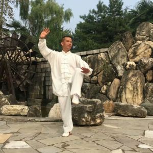 ڴͳʽ̫ȭ83ʽ̫սߡӼҽ̫繫