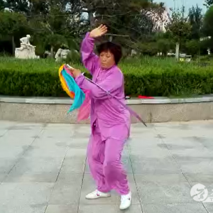 Ƽʽ֣̫ȭ37ʽ̫սߡӼҽ̫繫