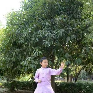 ʽ̫ȭѡ·̫սߡӼҽ̫繫