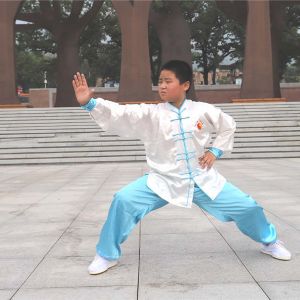 ʽ̫ȭҪ26ʽ̫սߡӼҽ̫繫