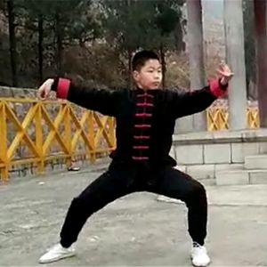 ˳ʽ̫ȭҪ26ʽ̫սߡӼҽ̫繫