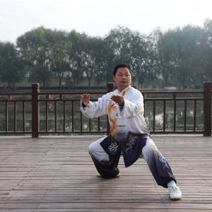 ˧ʽ̫ȭ·̫սߡӼҽ̫繫