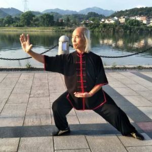 ʮʽ̫ȭ̫սߡӼҽ̫繫