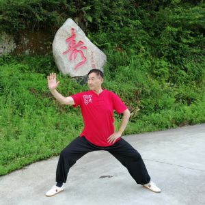 Ϳٿʽ̫ȭʮʽ̫սߡӼҽ̫繫