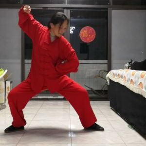 ѩʽ̫ȭϼһ·̫սߡӼҽ̫繫