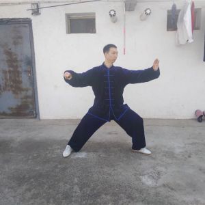 ܷ崫ͳʽ̫ȭ83ʽ̫սߡӼҽ̫繫