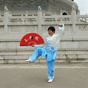 Ӣ24ʽ̫ȭ̫սߡӼҽ̫繫