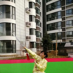 űۺ̫ȭʮʽ̫սߡӼҽ̫繫