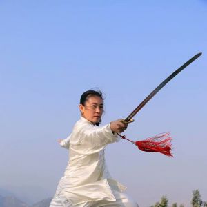 ߺ̫ʽ̫սߡӼҽ̫繫