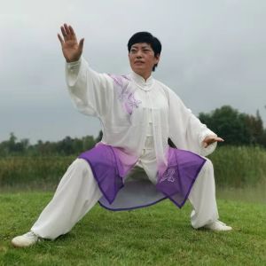 ϼ-һ̫ȡ̫սߡӼҽ̫繫