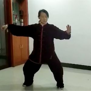 ʽ̫ȭʮʽ̫սߡӼҽ̫繫