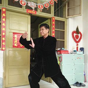 Ԫͳʽ̫85ʽ̫սߡӼҽ̫繫