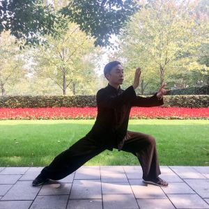 ʽ̫ȭҪ15ʽ̫սߡӼҽ̫繫