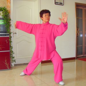 Ӣʽ̫ȭ16ʽ̫սߡӼҽ̫繫