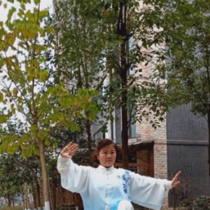 Ӣ̫ȭ40ʽ̫սߡӼҽ̫繫