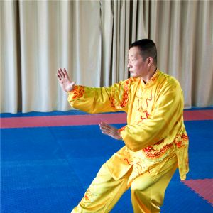 ʮ̫ȭ֮½2019̫ʢȱ