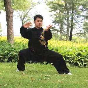 ʮ̫ȭܳꡱ֮2019̫ʢȱ