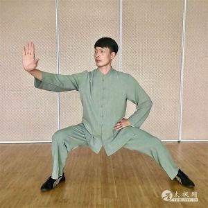 ʮ̫ȭ֮2019̫ʢȱ