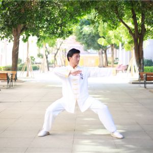 ʮ̫ȭܳꡱ֮Ԭ񡪡2019̫ʢȱ