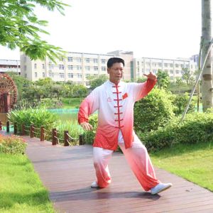 ʮ̫ȭ֮½2019̫ʢȱ