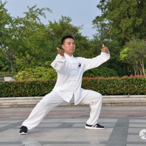 չݡʽ̫ȭ׽조š̫Ӣ