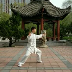 壺ʽ̫ȭϼһ·׽조š̫Ӣ