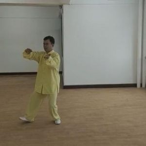 գʽ̫ȭۺ·׽조š̫Ӣ