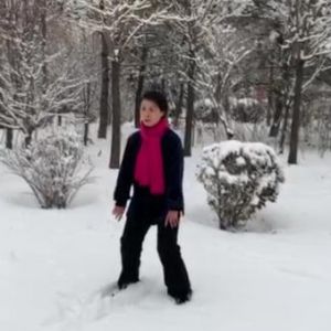 Խ㴫ͳʽ̫ȭ׽조š̫Ӣ