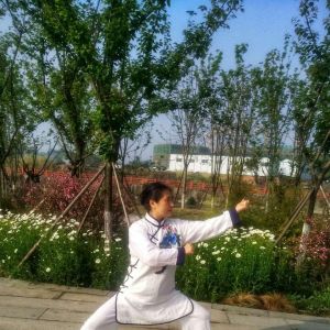 ҳʽʮʽ̫ȭ׽조š̫Ӣ