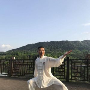 Ѻʽʮʽ̫ȭ׽조š̫Ӣ