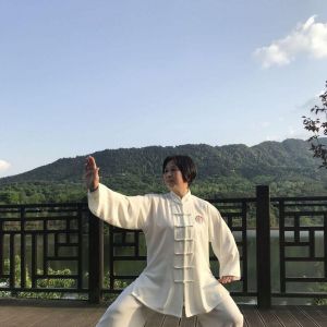 ݳʽʮʽ̫ȭ׽조š̫Ӣ