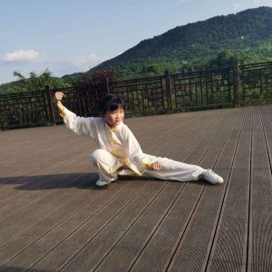 ͮʽʮʽ̫ȭ׽조š̫Ӣ