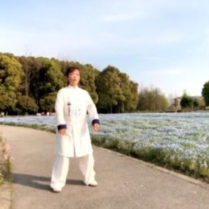 ųʽ̫ȭϼһ·׽조š̫Ӣ