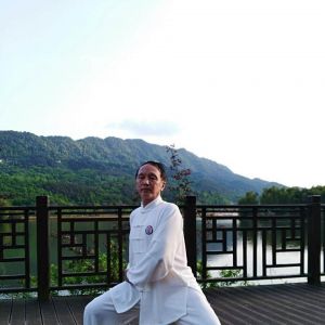 Ҷģʽʮʽ̫ȭ׽조š̫Ӣ